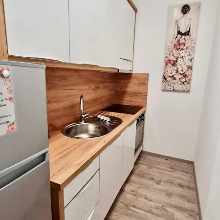 Central Lux With Free Parking Apartment *